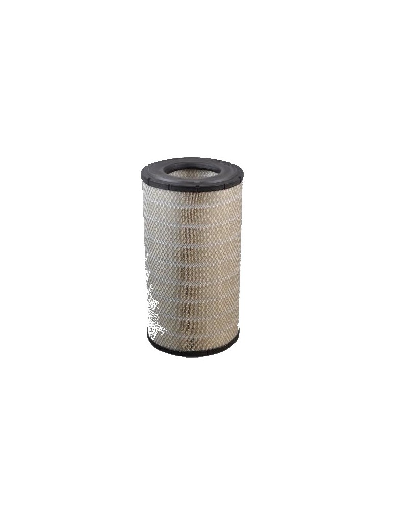 Filtro de aire Fleetguard AF27689 | Velfair