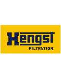 Hengst