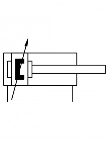 Cilindro normalizado DNC-50-PPV (163368) 2