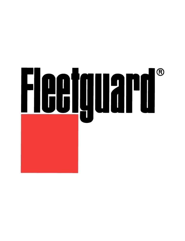 Filtro de aire Fleetguard AF25894 | Velfair