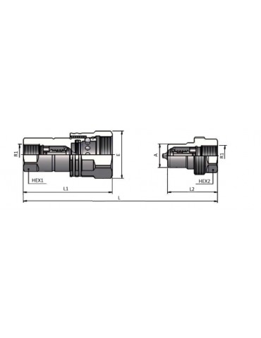 Enchufe rápido Hembra Push & Pull 1/2" 2