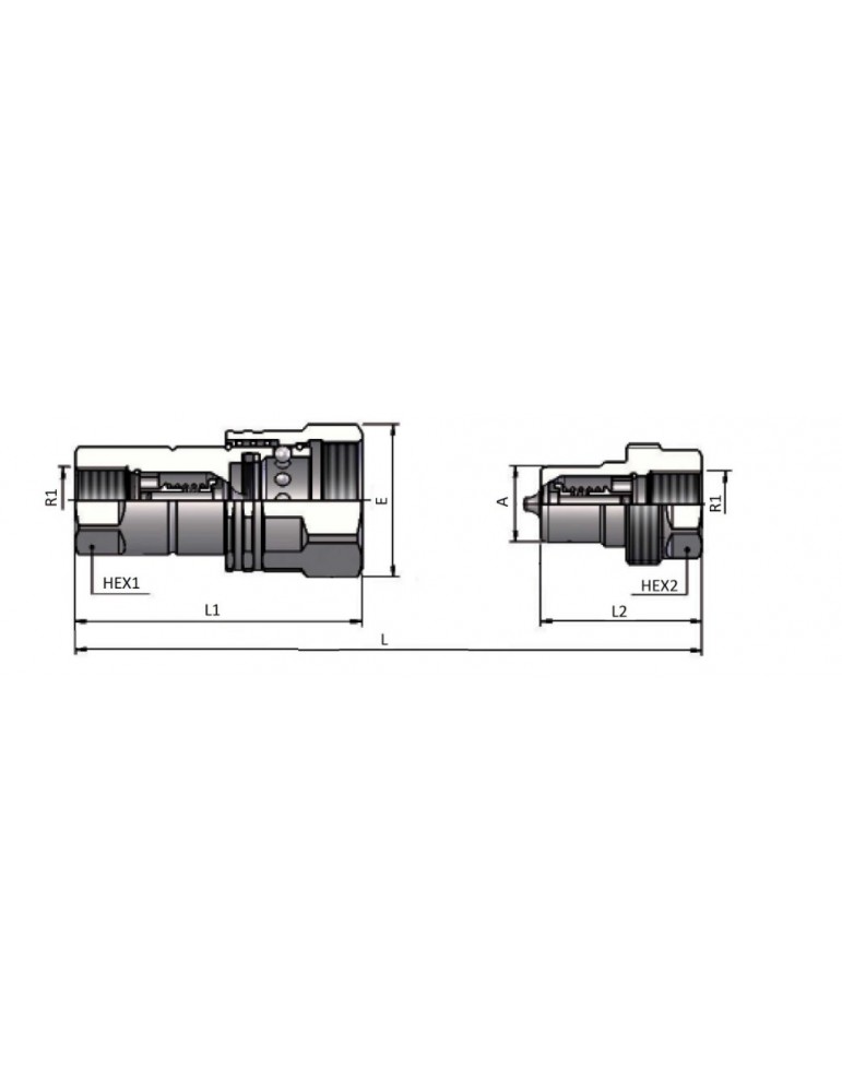 Enchufe rápido Hembra Push & Pull 1/2"